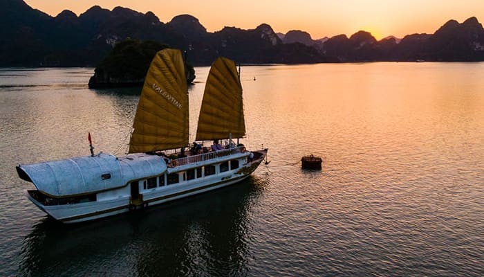 Ảnh Cruise